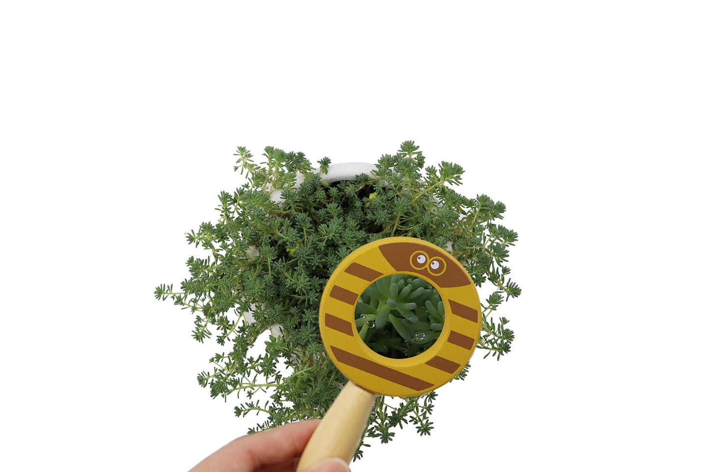 CALM & BREEZY BABY ANIMAL MAGNIFYING GLASS SET OF 4