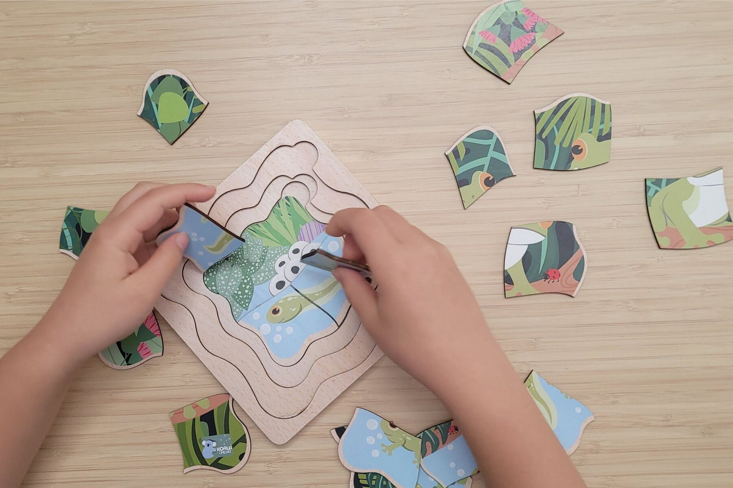 BUSH BUDDIES GREEN TREE FROG LIFE CYCLE LAYER PUZZLE