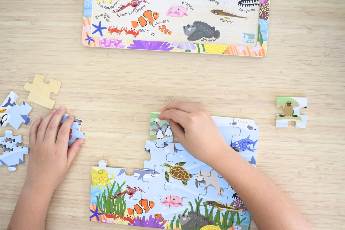 24PC JIGSAW PUZZLE AUSSIE SEA ANIMALS AND THEIR NAMES