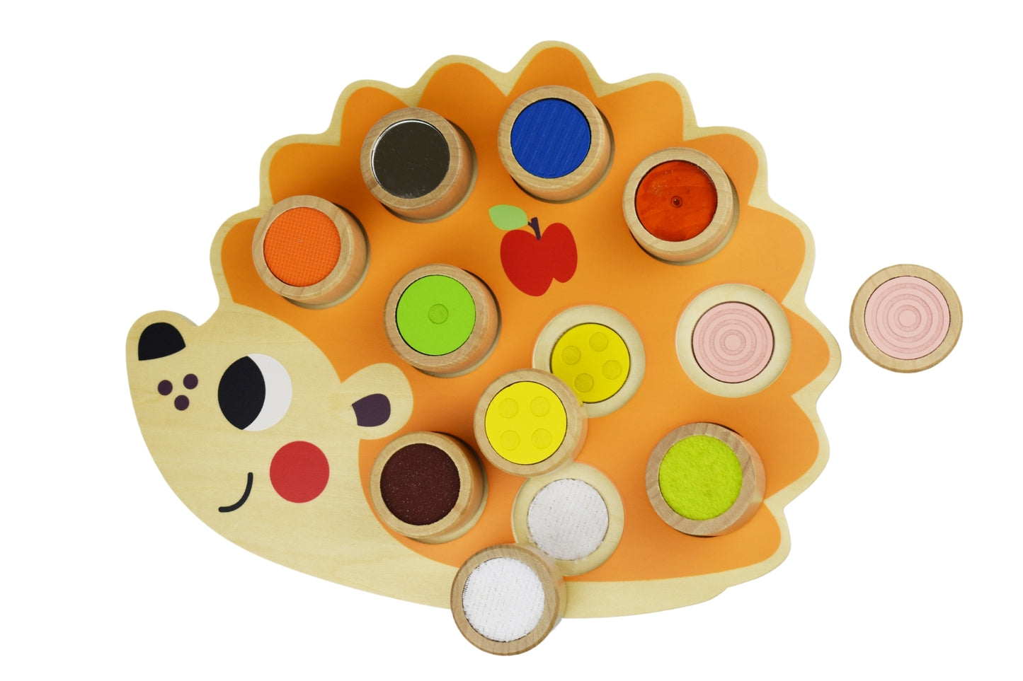 SENSORY HEDGEHOG