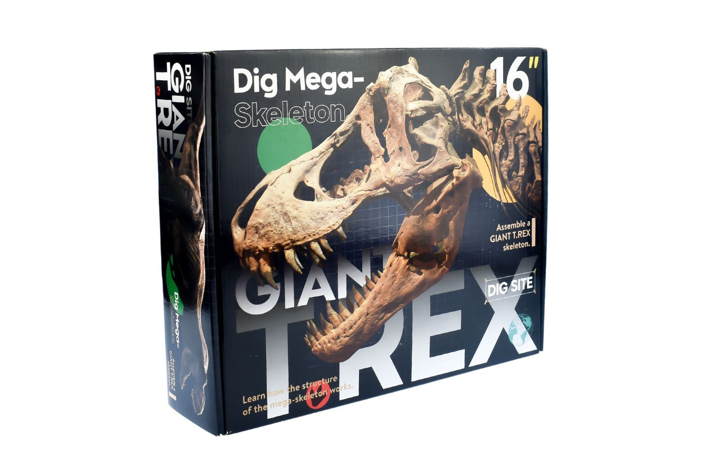 GIANT T-REX DIG SITE