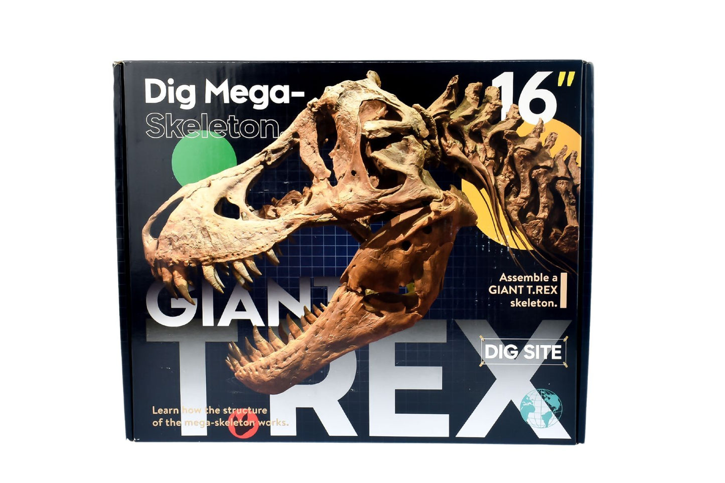 GIANT T-REX DIG SITE