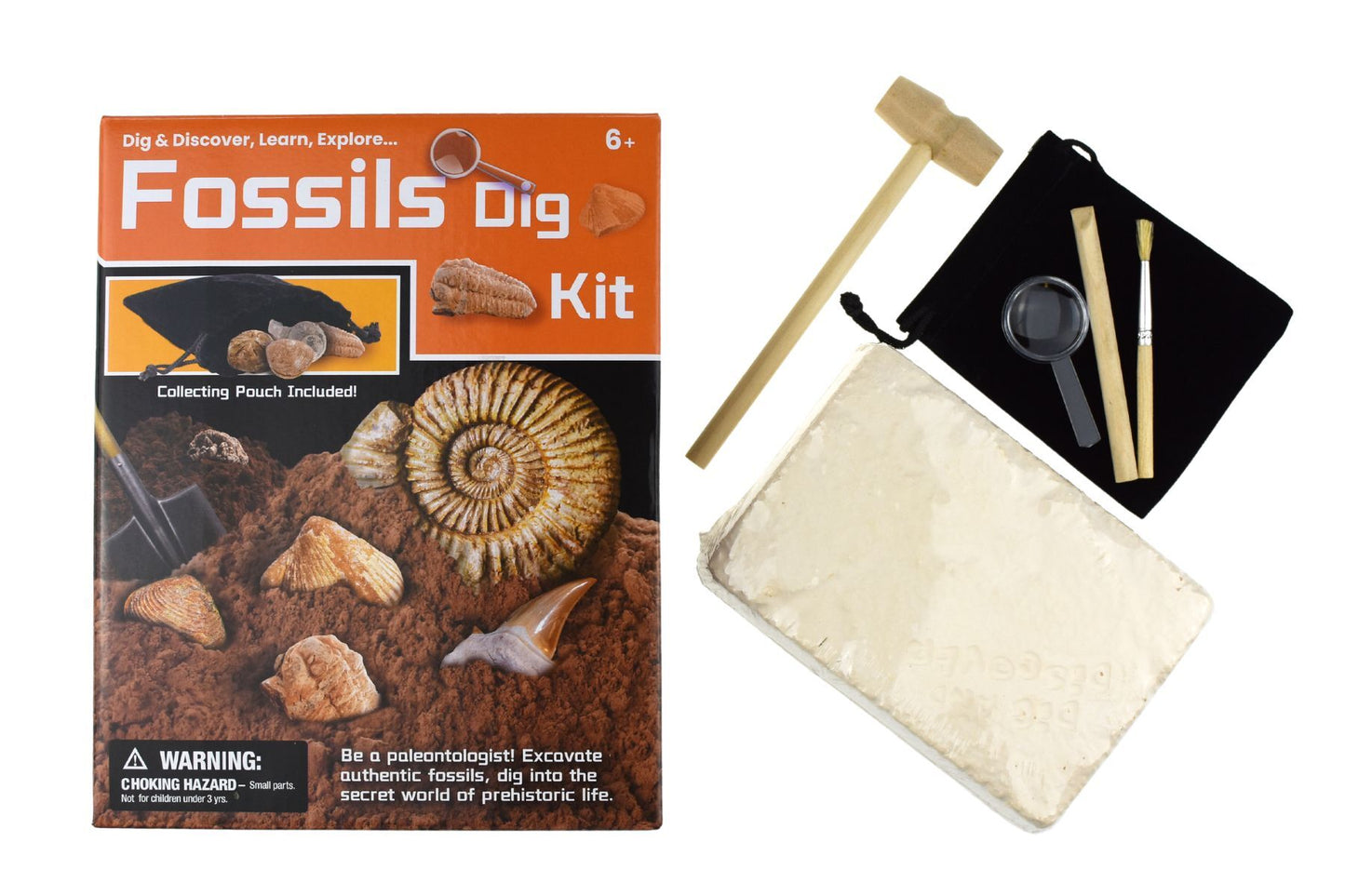 DIG & DISCOVER FOSSILS DIG KIT