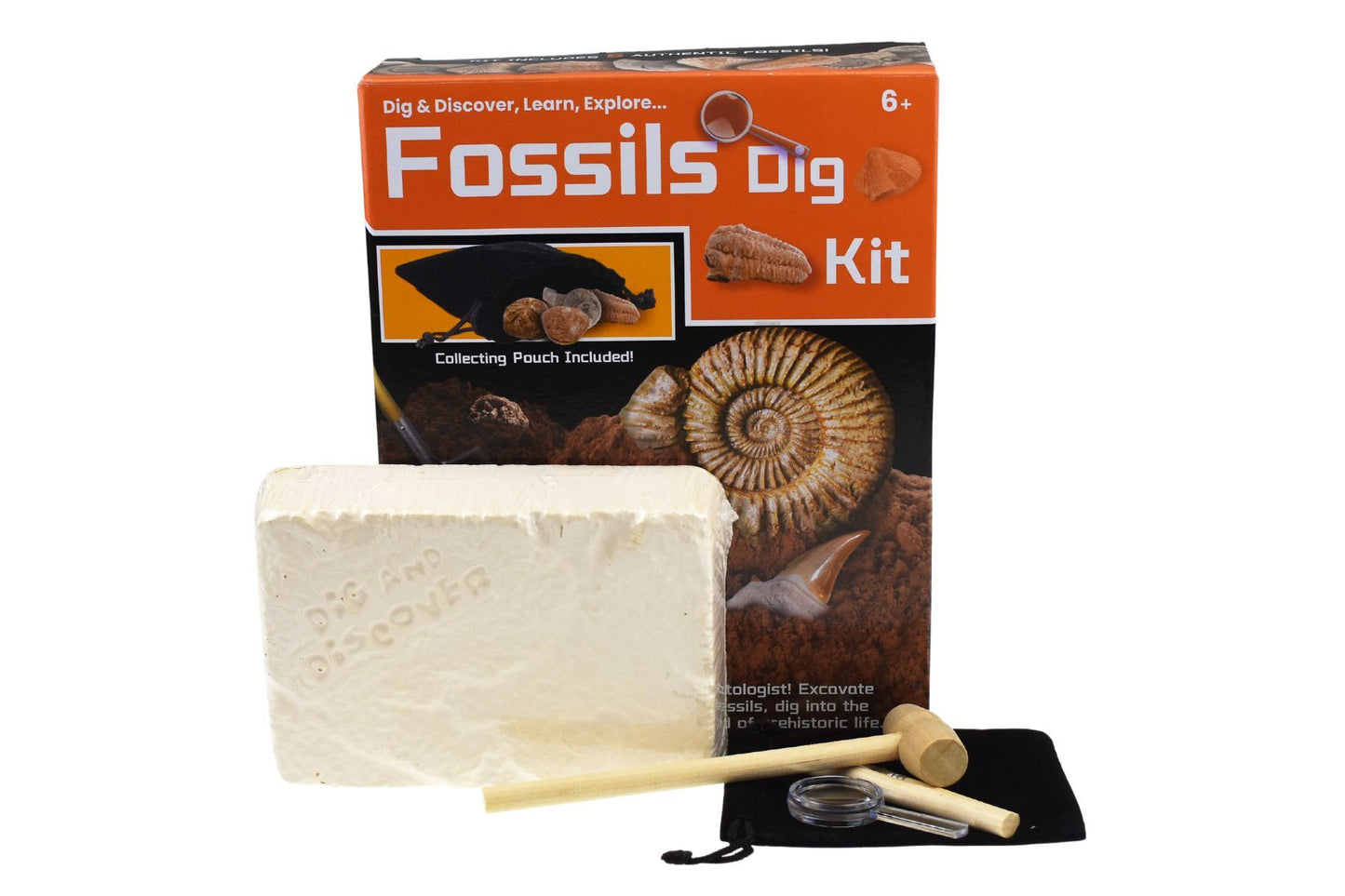 DIG & DISCOVER FOSSILS DIG KIT