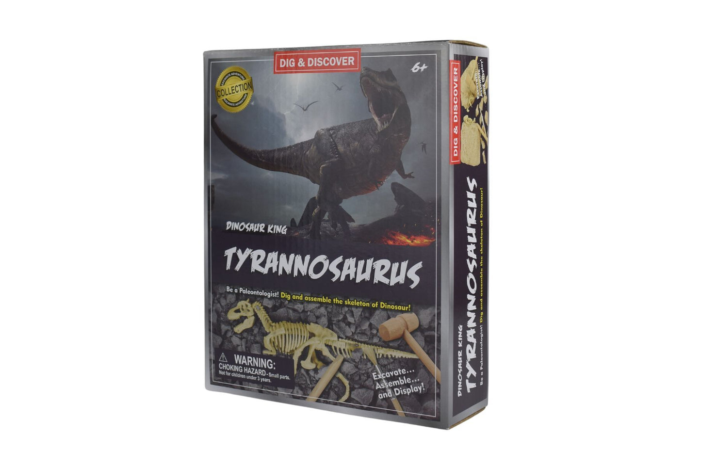 DIG & DISCOVER TYRANNOSAURUS DIG KITS