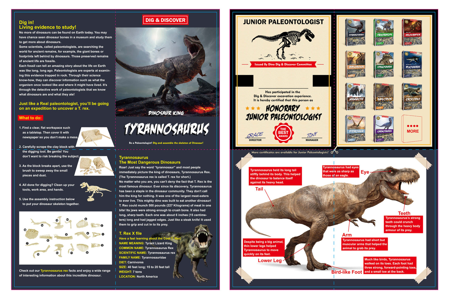 DIG & DISCOVER TYRANNOSAURUS DIG KITS