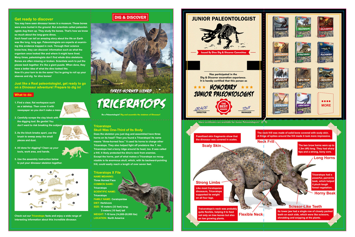 DIG & DISCOVER TRICERATOPS DIG KITS