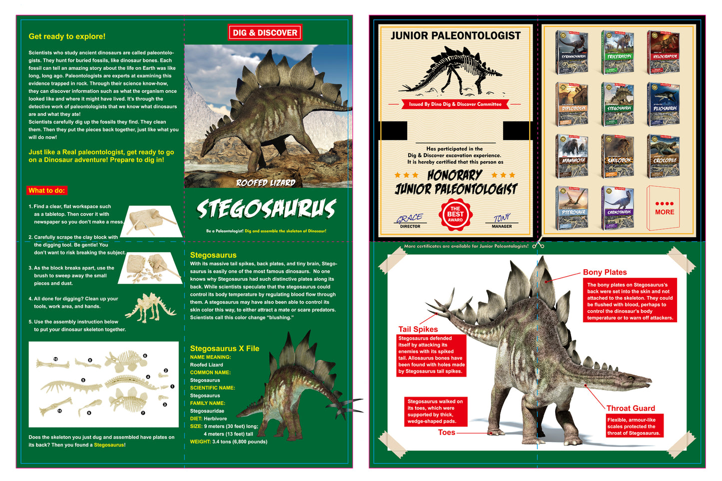 DIG & DISCOVER STEGOSAURUS DIG KITS