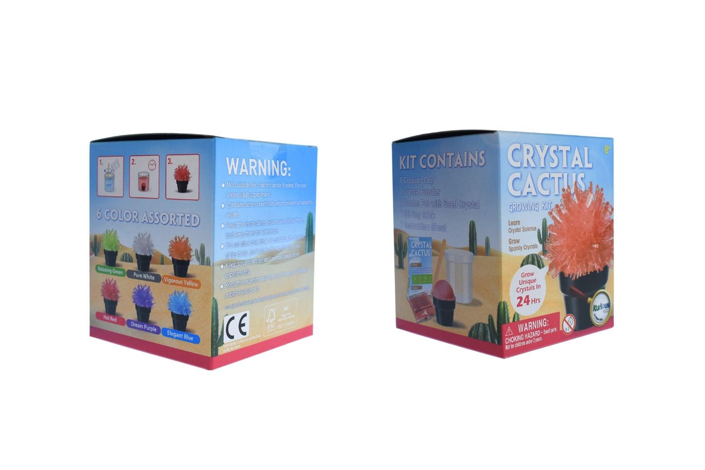 CRYSTAL CACTUS MINI KIT SET OF 6