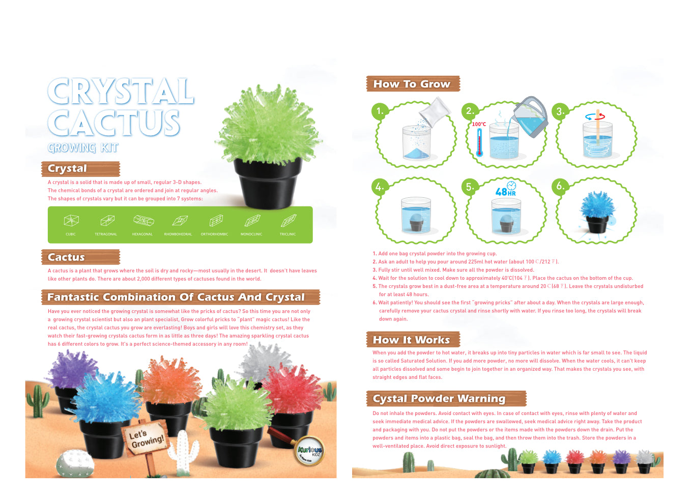 CRYSTAL CACTUS MINI KIT