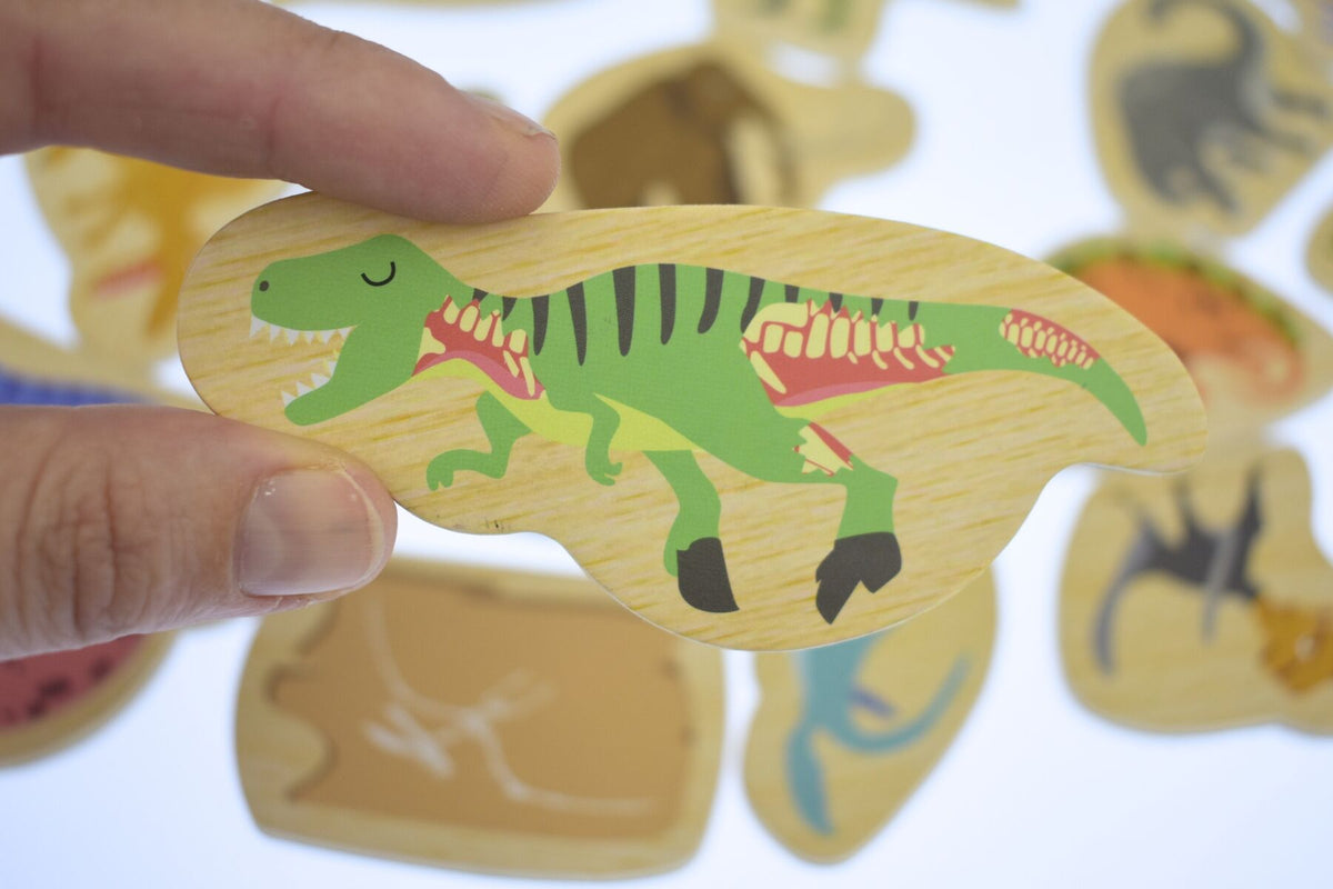 FRIDGE FRIENDS DINOSAURS & PREHISTORIC ANIMALS 25PC