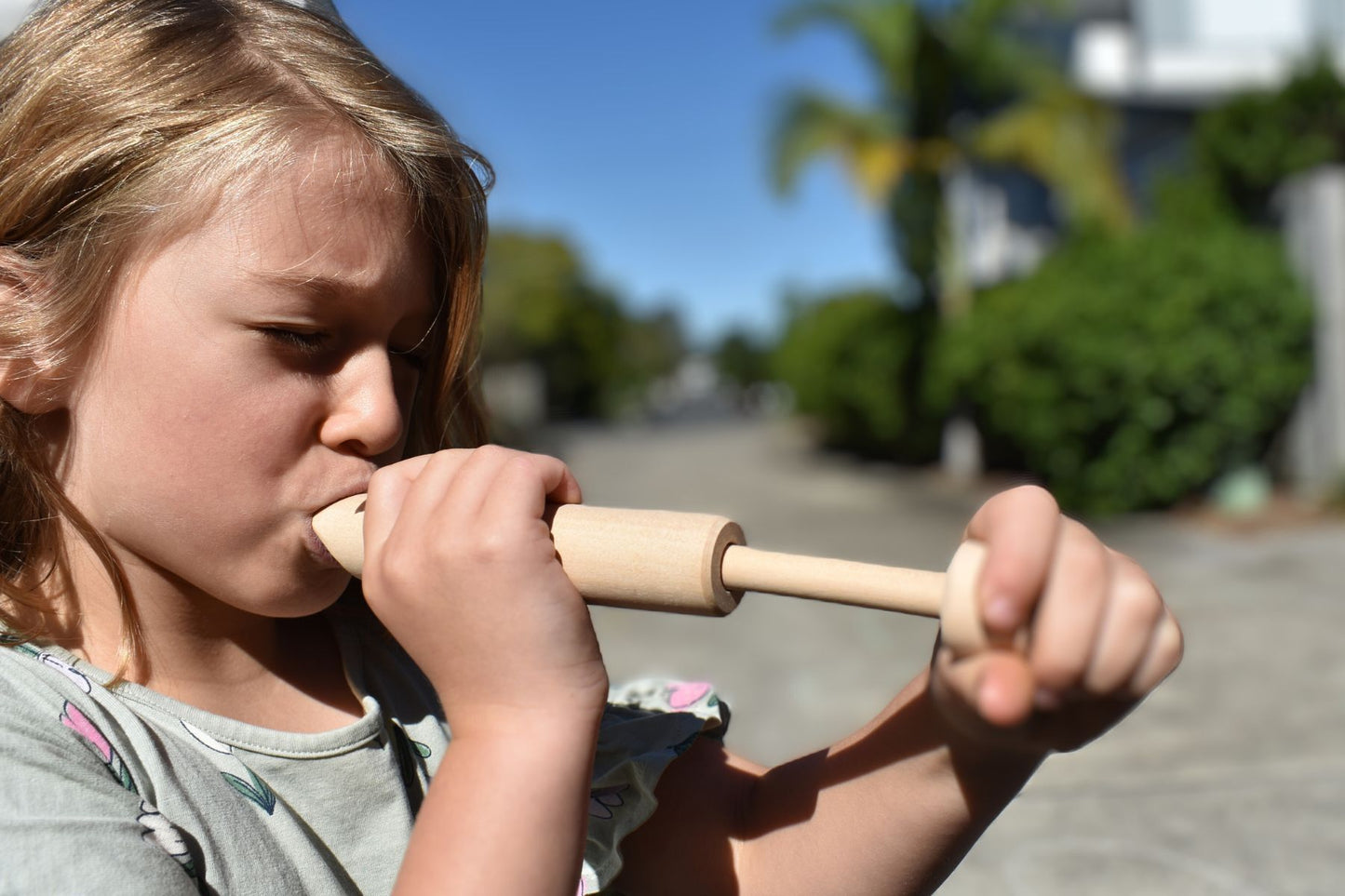 WOODEN SLIDE WHISTLE