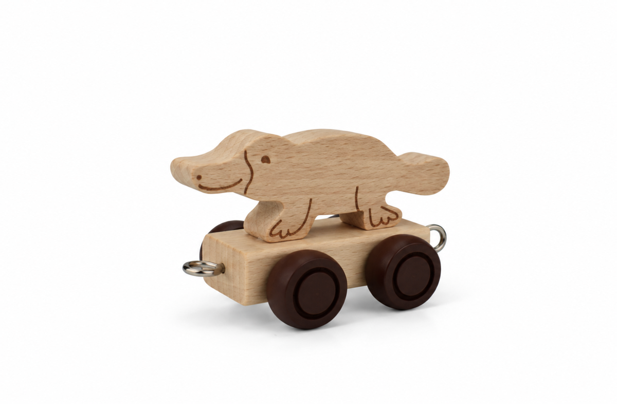 ALPHABET TRAIN - ANIMAL CARRIAGE PLATYPUS