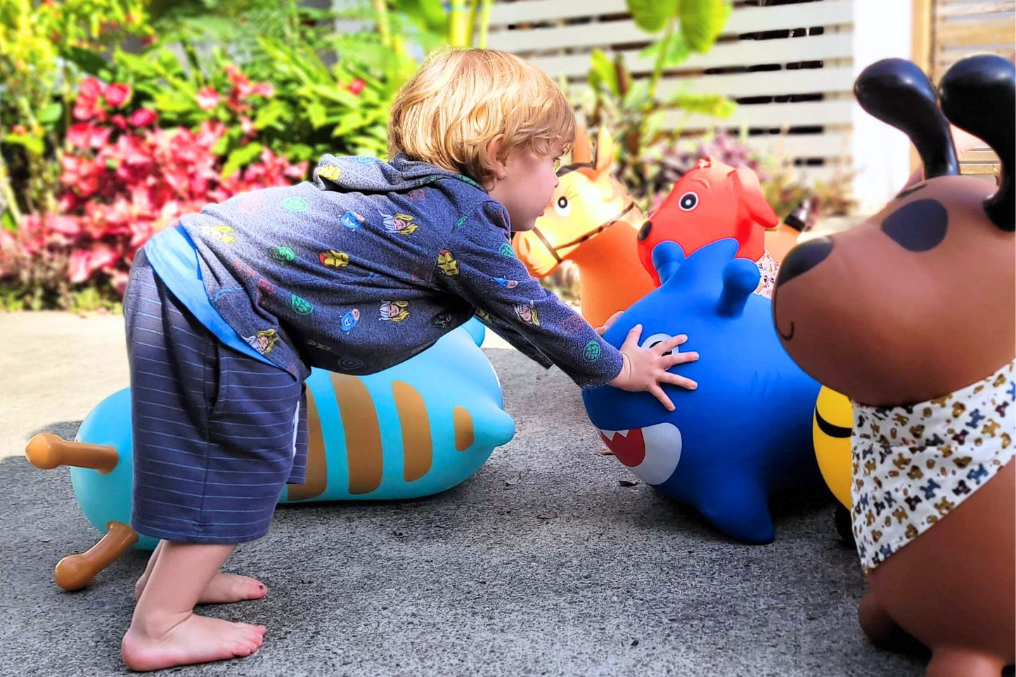 BOUNCY RIDER SPLASH THE SHARK