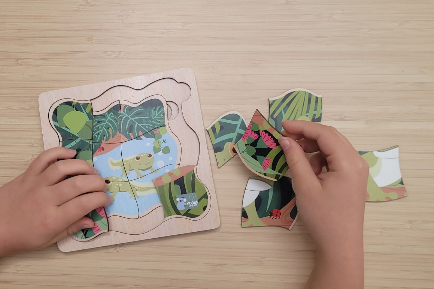 BUSH BUDDIES GREEN TREE FROG LIFE CYCLE LAYER PUZZLE