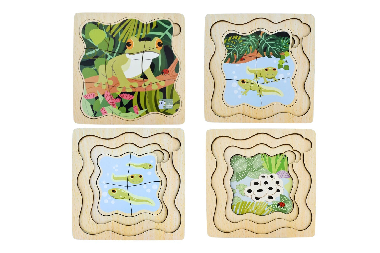 BUSH BUDDIES GREEN TREE FROG LIFE CYCLE LAYER PUZZLE