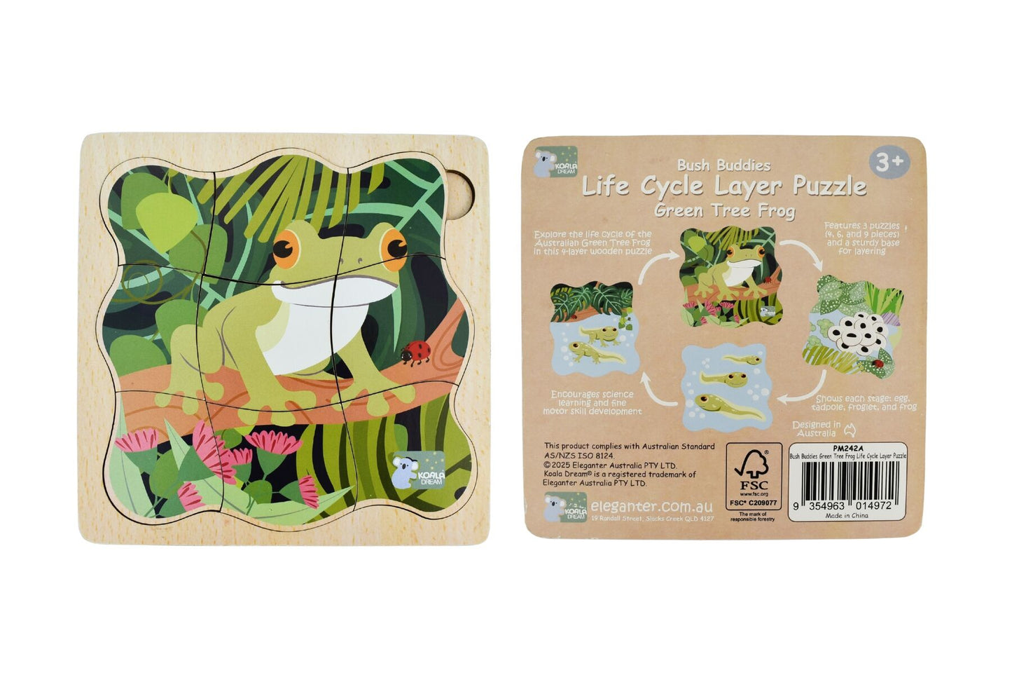 BUSH BUDDIES GREEN TREE FROG LIFE CYCLE LAYER PUZZLE