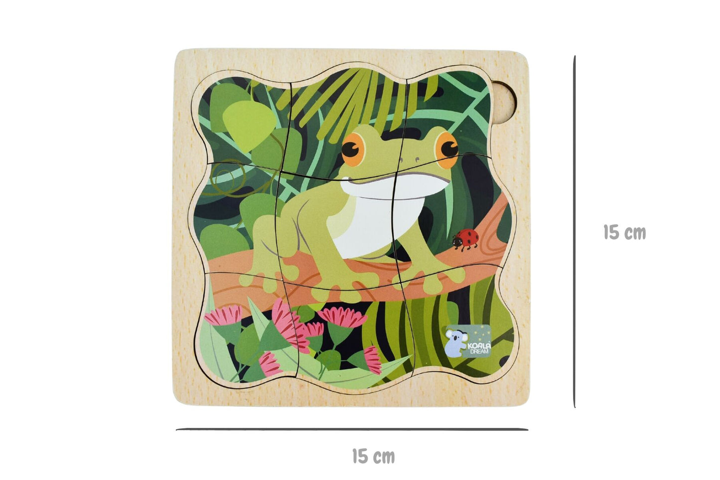 BUSH BUDDIES GREEN TREE FROG LIFE CYCLE LAYER PUZZLE