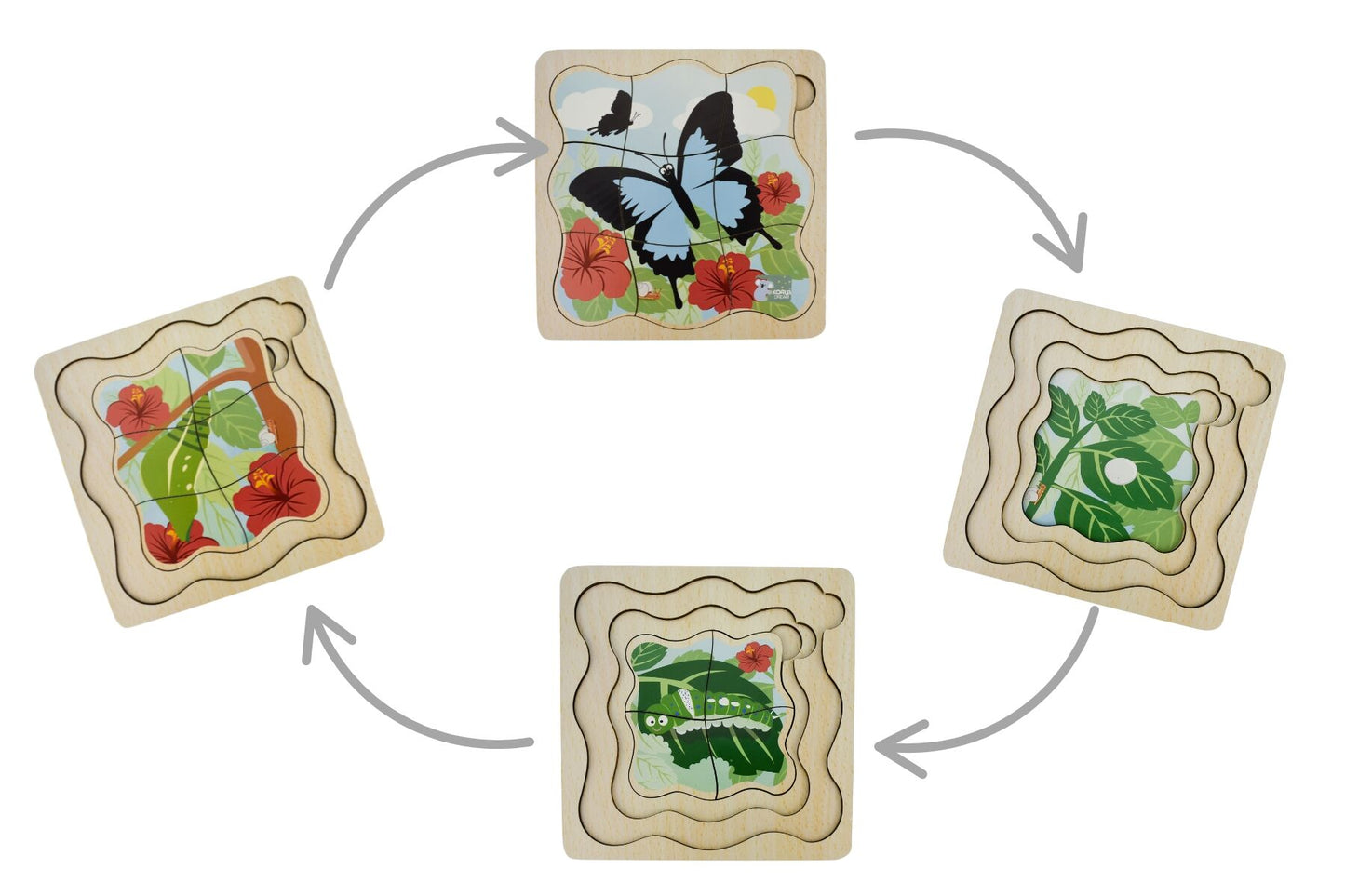 BUSH BUDDIES ULYSSES BUTTERFLY LIFE CYCLE LAYER PUZZLE