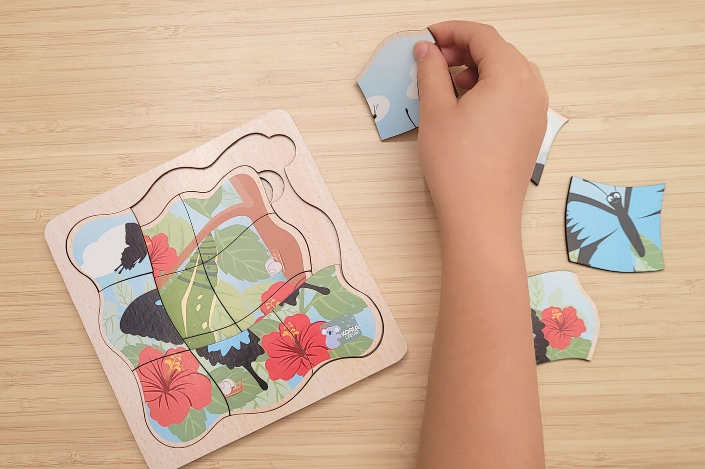 BUSH BUDDIES ULYSSES BUTTERFLY LIFE CYCLE LAYER PUZZLE