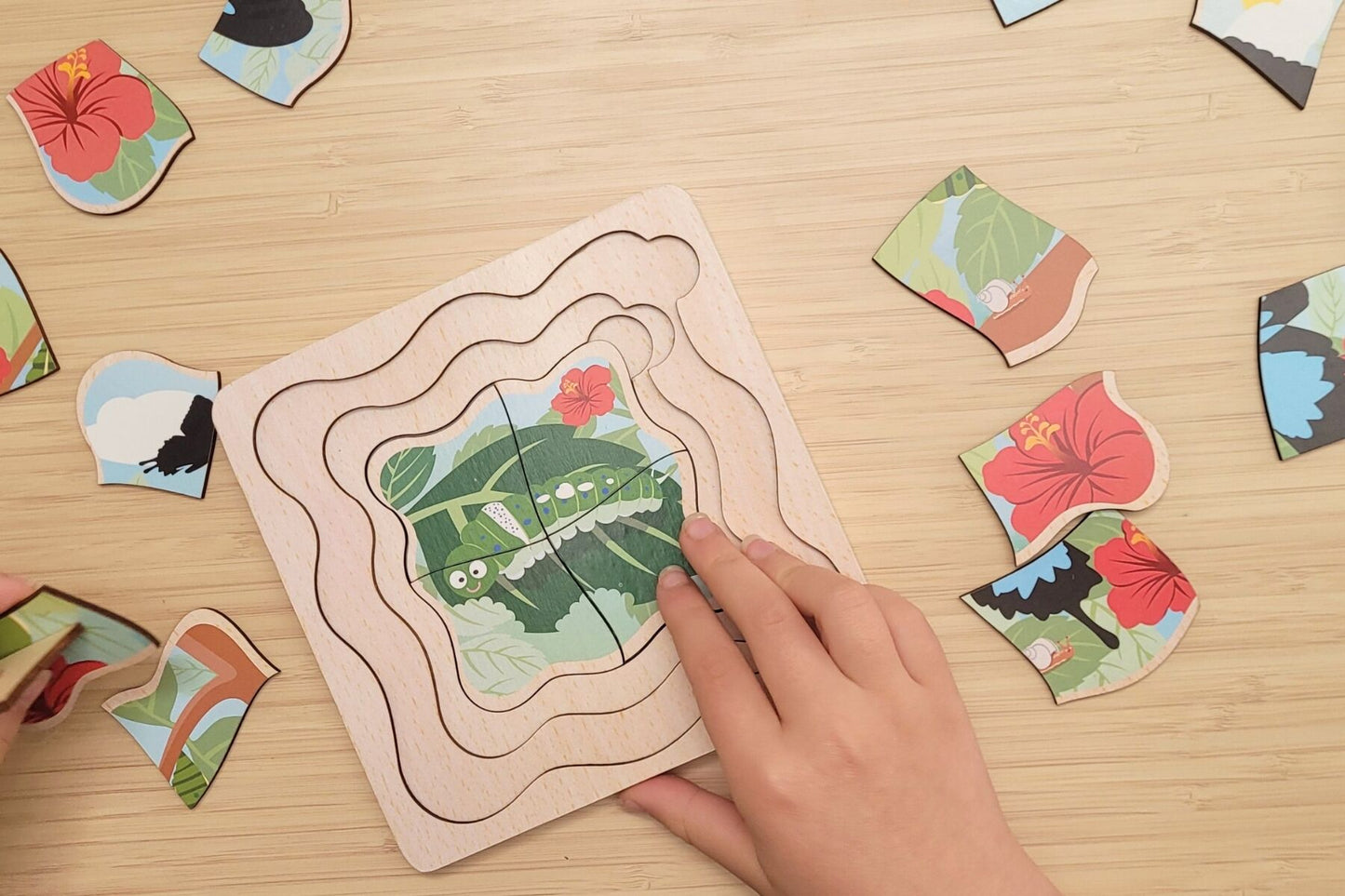 BUSH BUDDIES ULYSSES BUTTERFLY LIFE CYCLE LAYER PUZZLE