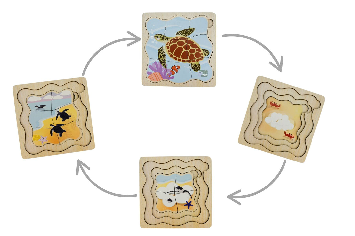 BUSH BUDDIES GREEN SEA TURTLE LIFE CYCLE LAYER PUZZLE